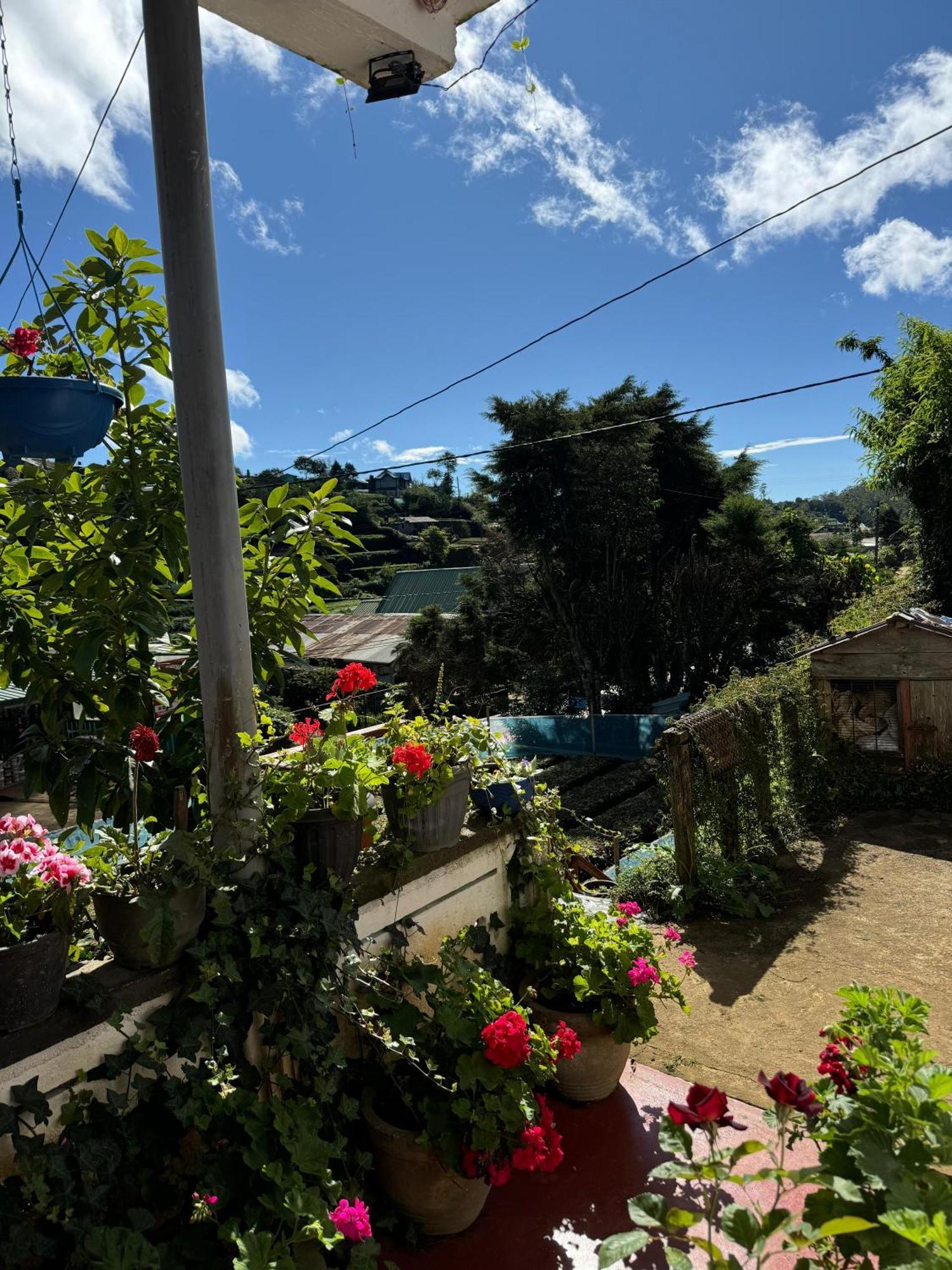 דירות נוארה אליה Cozy Heaven מראה חיצוני תמונה